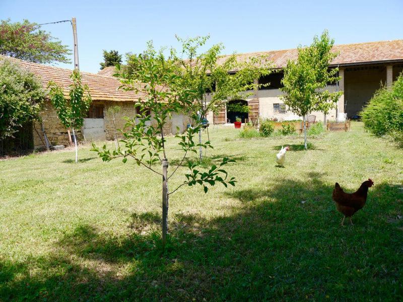 Ferme St Pierre 2 Suites Avec Repas, Piscine, Clim, Cheminee Ou Baignoire Spa Chabeuil Exteriér fotografie