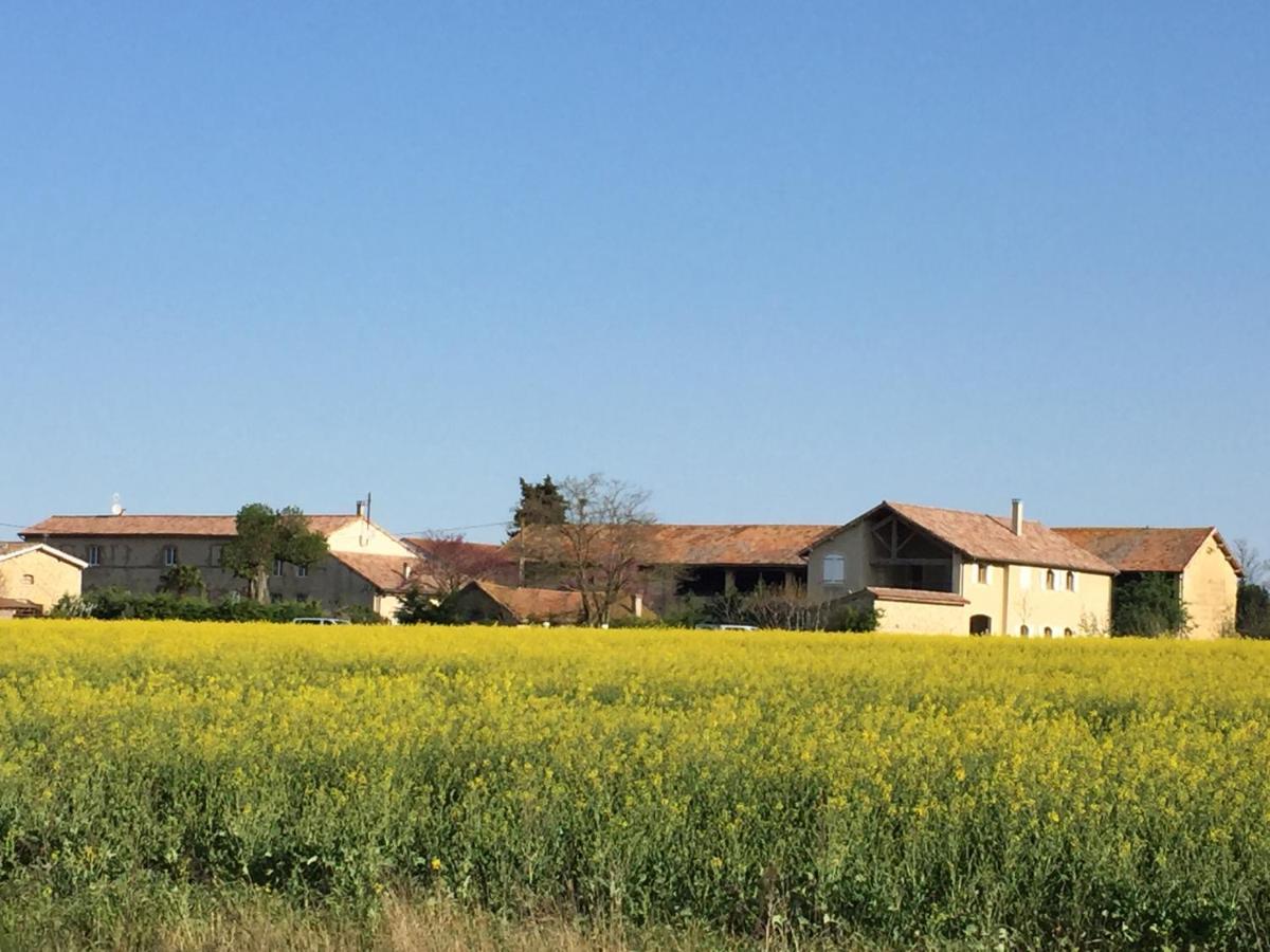 Ferme St Pierre 2 Suites Avec Piscine, Clim, Cheminee Ou Baignoire Spa Chabeuil Exteriér fotografie